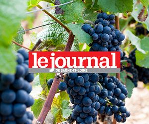 Le Domaine Chanzy lorgne sur la bourse de Londres