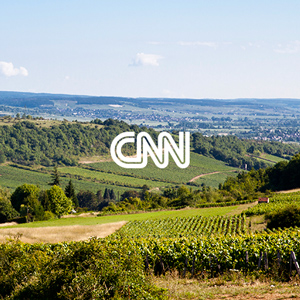 CNN International Business: French Vineyard Aims for London IPO (video)