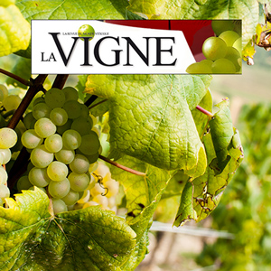 Un domaine coté en bourse