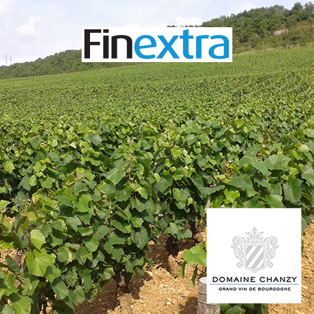 Seedrs hosts IPO campaign for Domaine Chanzy vineyard