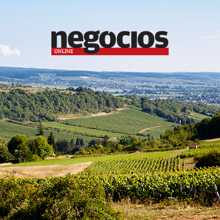 Vinho francês ruma à bolsa londrina com “crowdfunding”