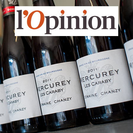 La petite maison qui monte en Bourgogne