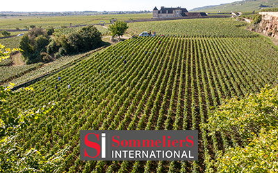 Maison Chanzy, une signature et un développement fulgurant