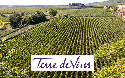 Chanzy: une ambition pour la Côte Chalonnaise